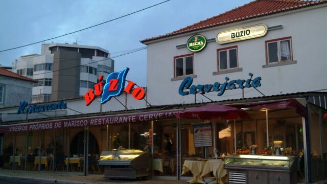 Búzio