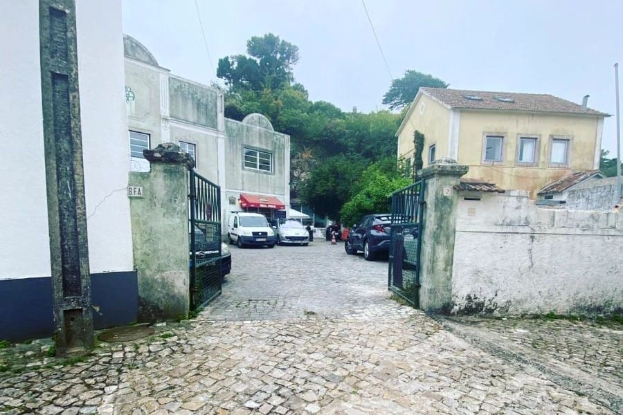 O Tasco do Strauss